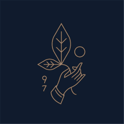 Rishi Tea & Botanicals logo