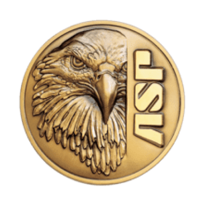 Armament Systems & Procedures logo