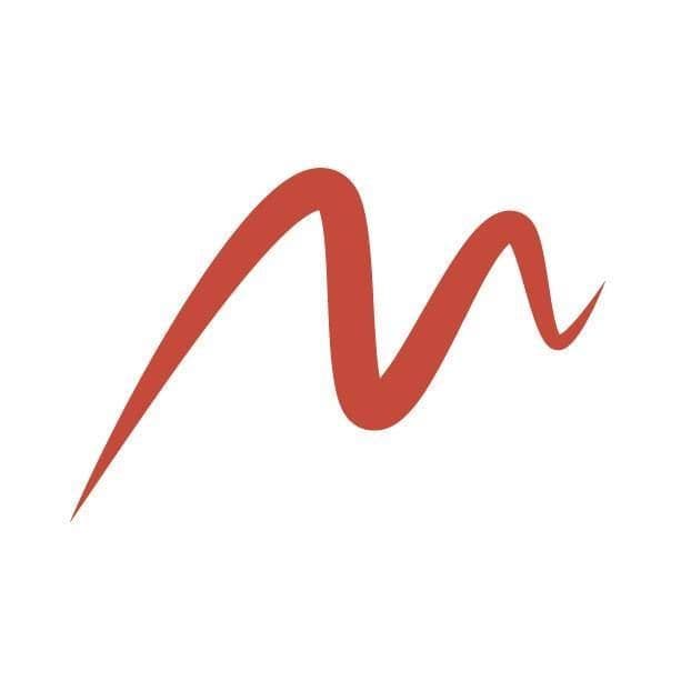 MWS IT logo