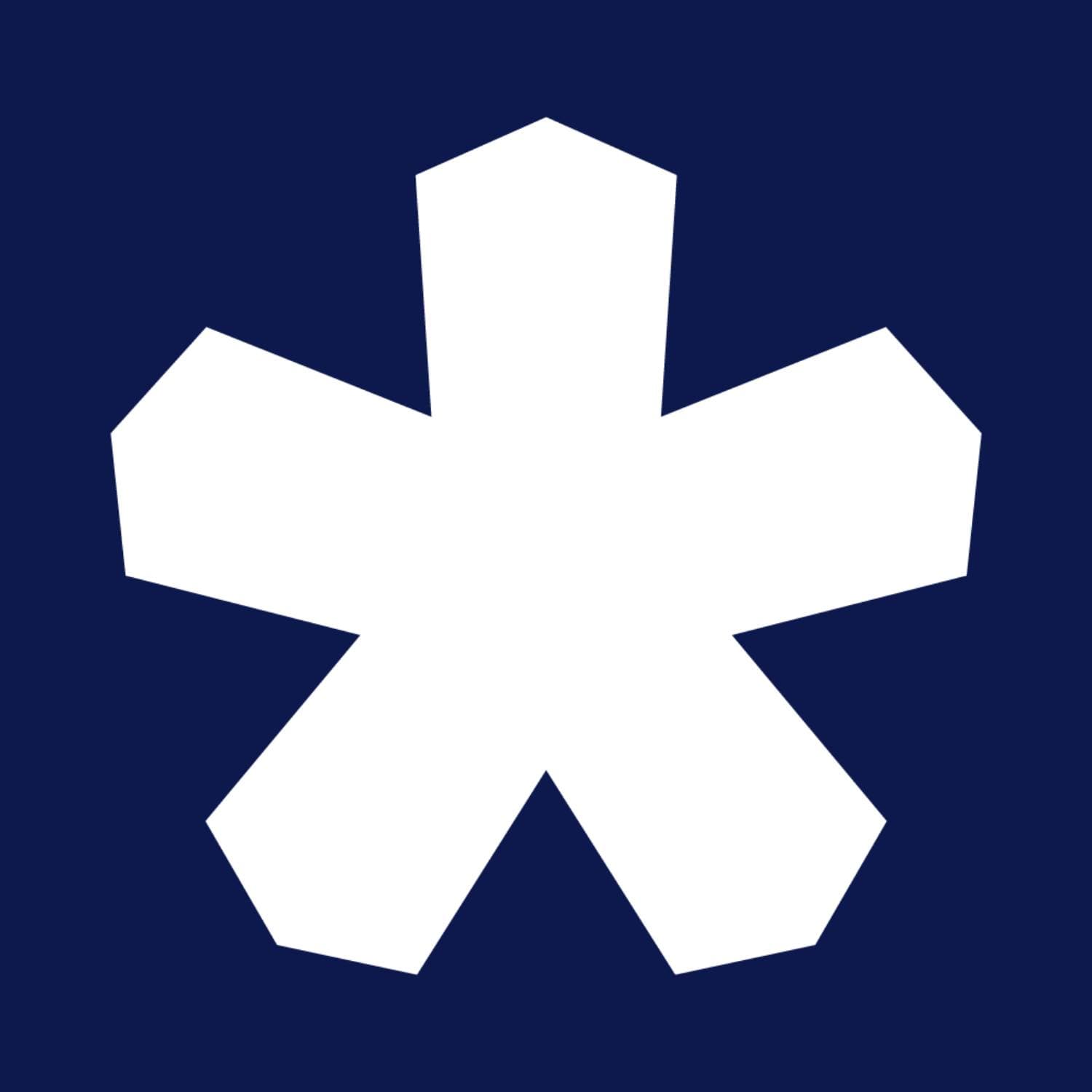Bofrost IT logo