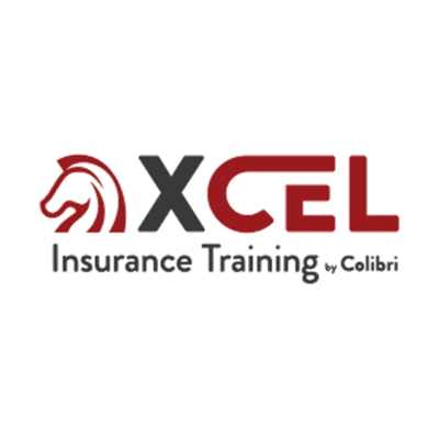 XCEL Solutions logo
