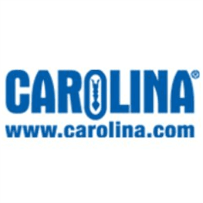 Carolina logo