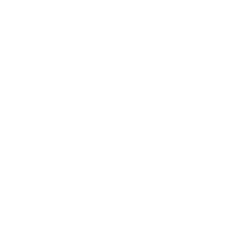 Papique logo
